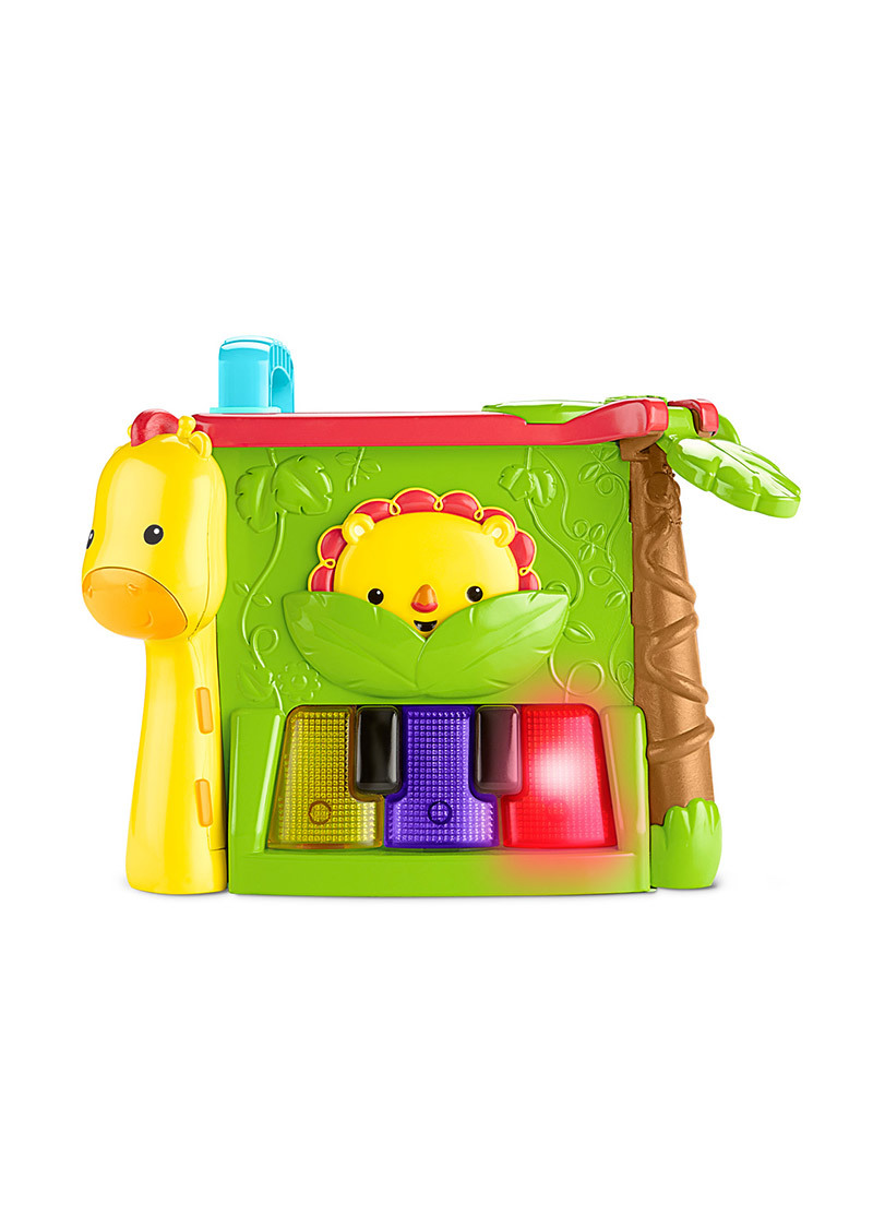 美國Fisher Price費雪-可愛動物積木盒- 嬰兒玩具探索學習玩具啟發幼兒 